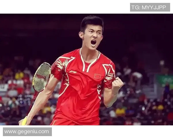 乒乓羽毛球传奇选手的辉煌历程与不朽成就探秘